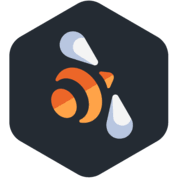 custom_website